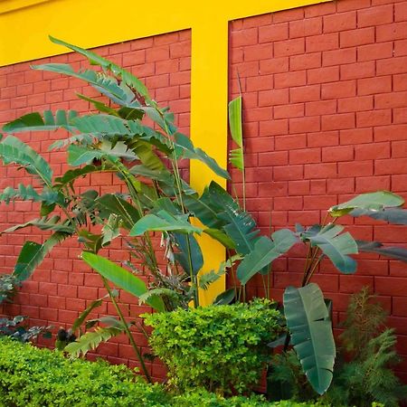 Mvt Guesthouse & Restaurant Rishikesh Exterior photo