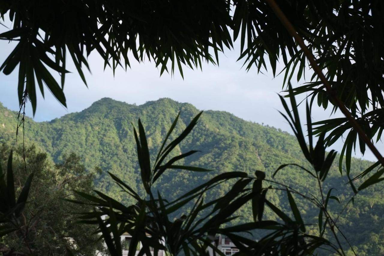 Mvt Guesthouse & Restaurant Rishikesh Exterior photo