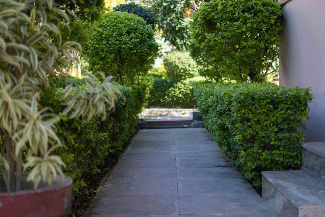Mvt Guesthouse & Restaurant Rishikesh Exterior photo